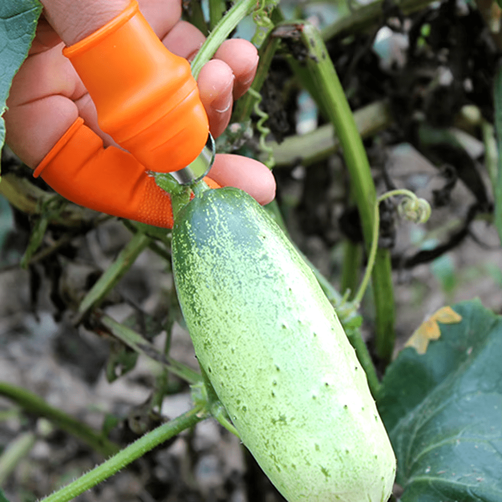 VeggieCutter - CUCHILLO DE PULGAR PARA COCINA Y JARDINERÍA - 2X1